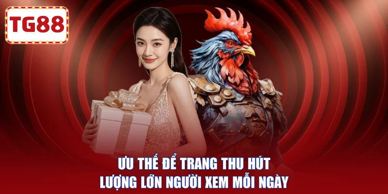 Ưu thế để trang thu hút lượng lớn người xem mỗi ngày 